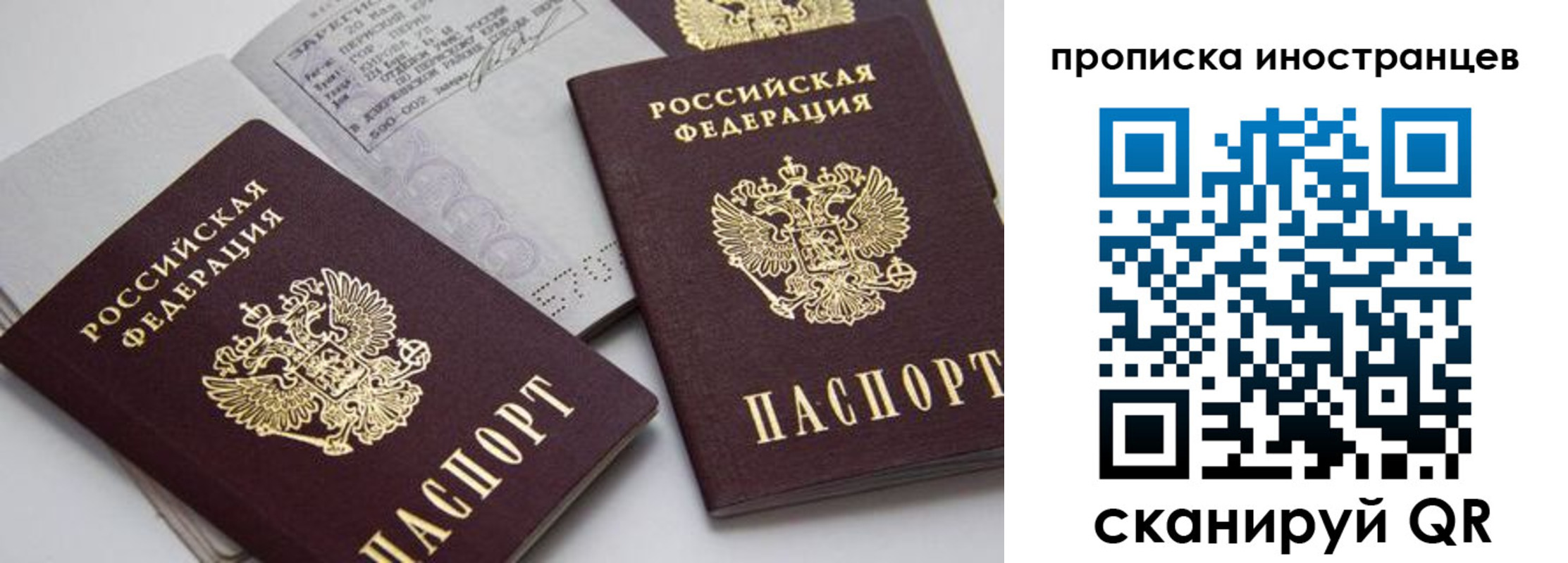 прописка поиск в Балабаново